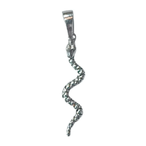 Colgante de plata de ley, símbolo de serpiente, ideal para hombres y mujeres.